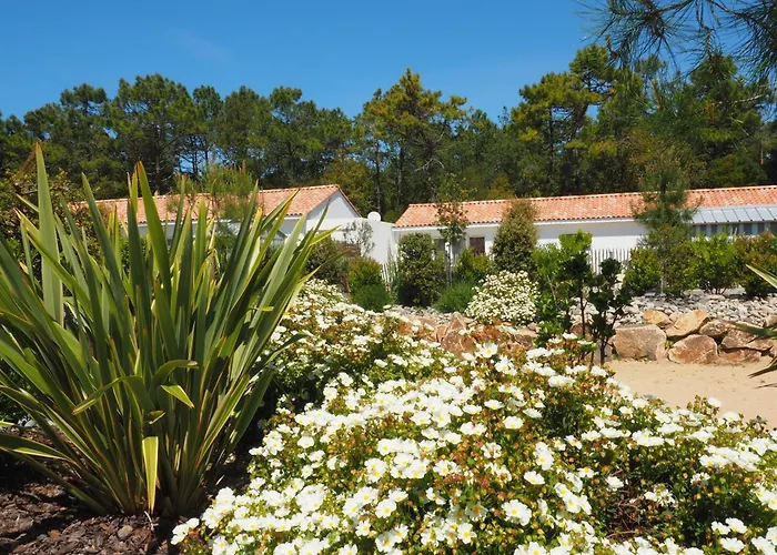 Bresil - Domaine Le Sherwood